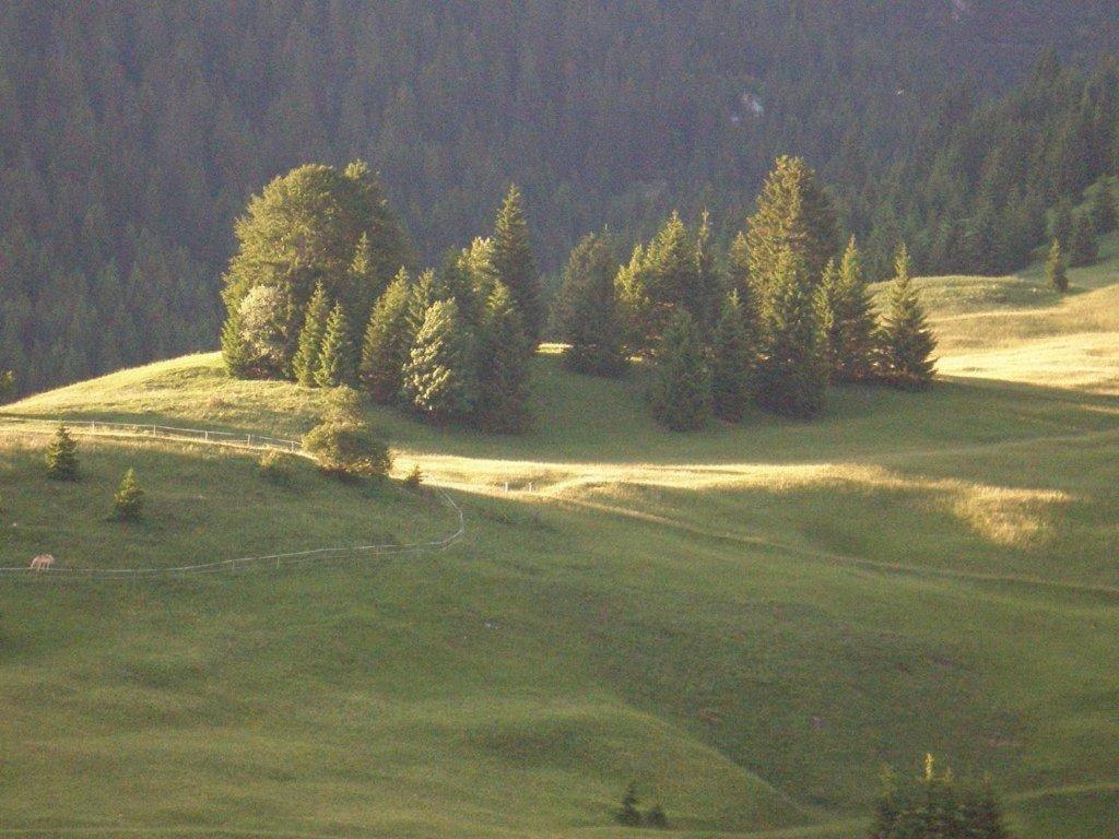 Hotel Alpenhof "Alt Laehn" Zewnętrze zdjęcie